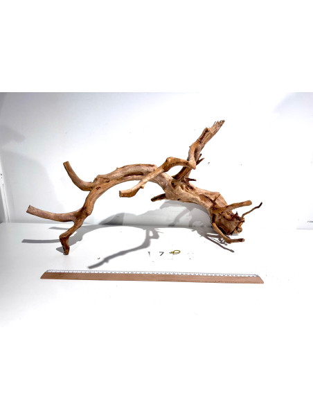 Raiz Roja Seleccionada - Pieza número 7