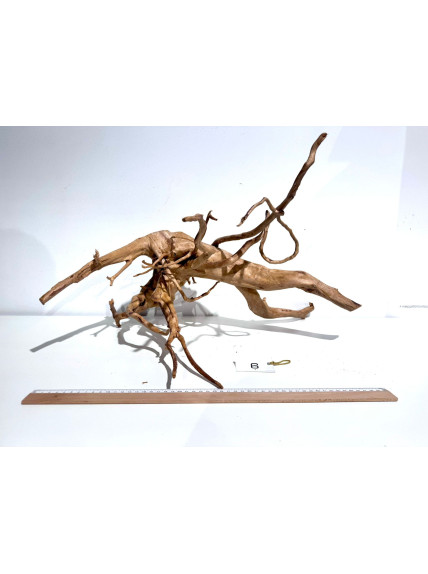 Raiz Roja Seleccionada - Pieza número 6