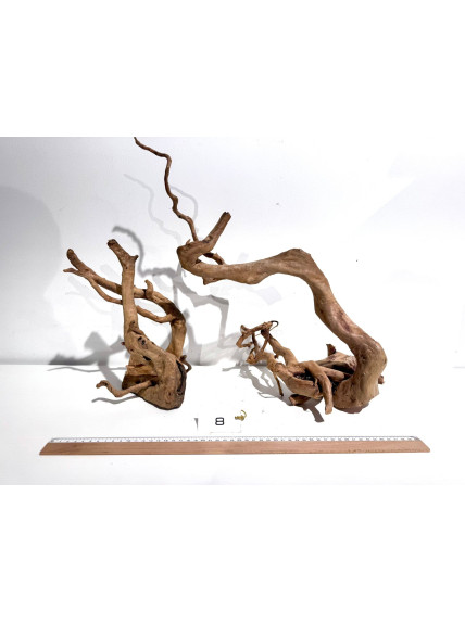 Raiz Roja Seleccionada - Pieza número 8 2