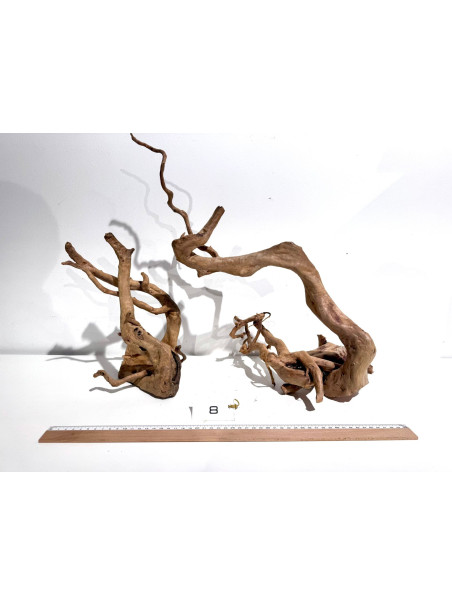 Raiz Roja Seleccionada - Pieza número 8