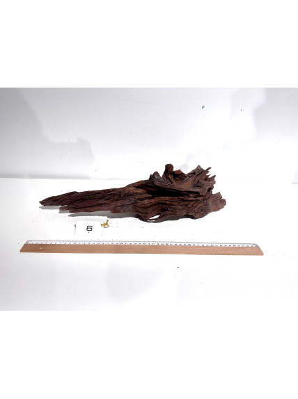 DriftWood Seleccionada - Pack número 6