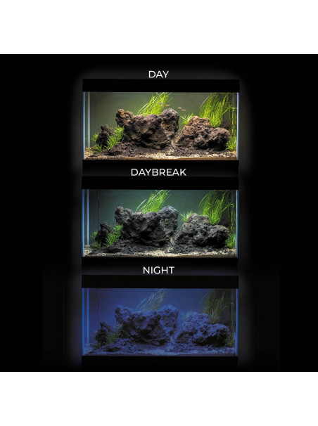 SET Acuario y Mesa AquaEL ULTRASCAPE FOREST 90