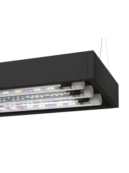 SET Acuario y Mesa AquaEL ULTRASCAPE FOREST 90