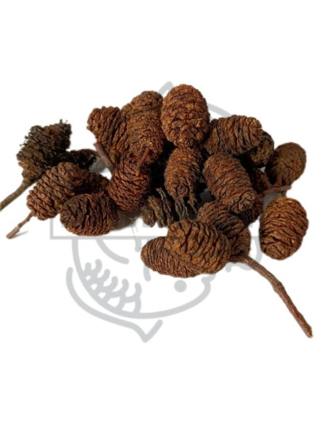 Piñas de Aliso (Bolsa de 50gr) - Sakana Botanicals