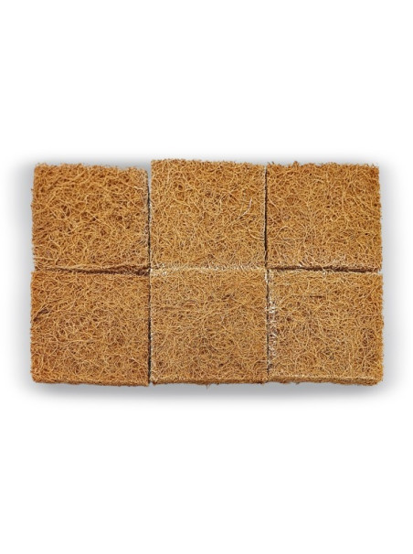 Paludario BLAU Cubic SELVA 35