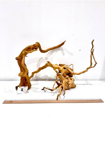 Raiz Roja Seleccionada - Pieza número 2