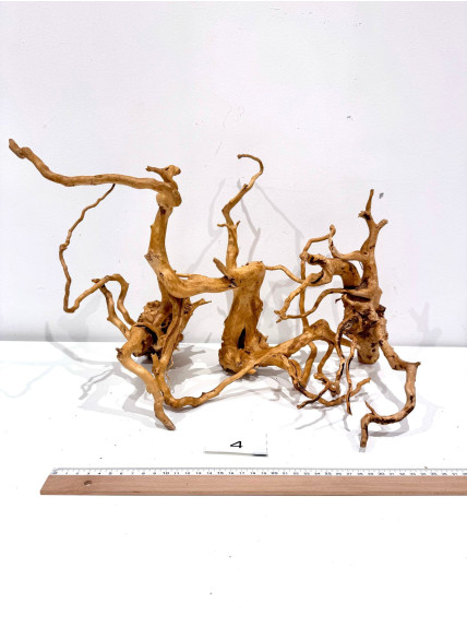 Raiz Roja Seleccionada - Pieza número 4