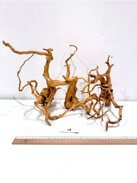 Raiz Roja Seleccionada - Pieza número 4