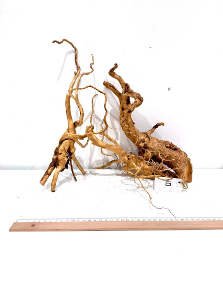 Raiz Roja Seleccionada - Pieza número 5