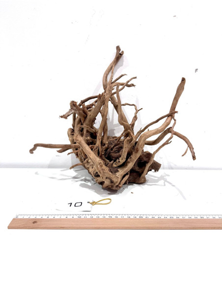 Raiz Roja Seleccionada - Pieza número 10