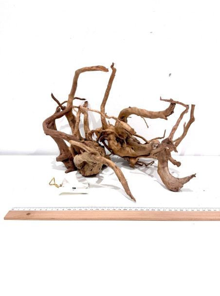 Raiz Roja Seleccionada - Pieza número 9