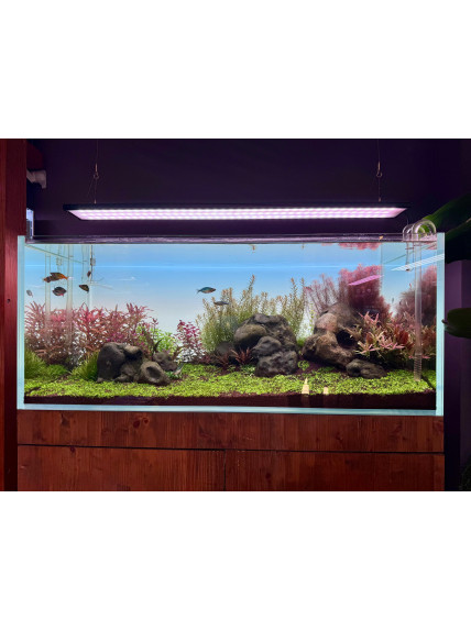 Pantalla Retroiluminada BLANCA PezVerde 120 x 50