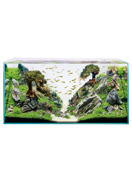 Acuario OASE ScaperLine 100 – 250L en cristal óptico de alta calidad