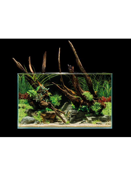 Acuario OASE ScaperLine 100 – 250L en cristal óptico de alta calidad