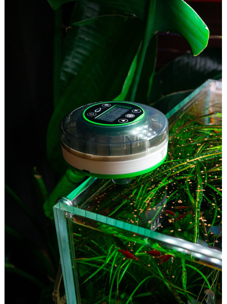 Alimentador Automático PezVerde – Precisión, diseño y confianza para la alimentación de tus peces