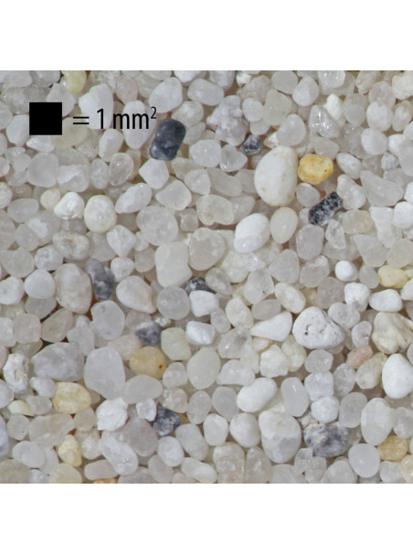 Arena de Rio JBL Sansibar River 5KG