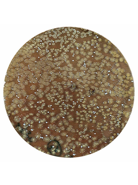 AZOO UltraBioGuard 120mL