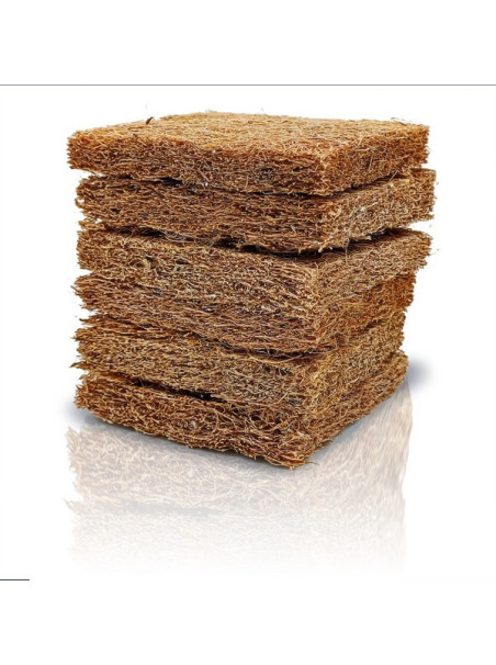 BLAU Coco Mat – 6 Unidades | Base Natural para Musgos y Plantas Epífitas