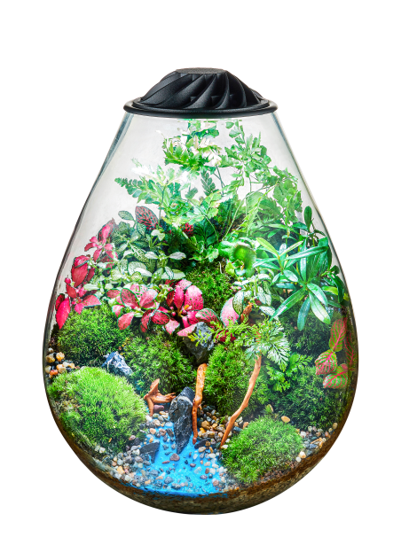 Chihiros Eco Ping – Terrario con iluminación LED para Wabi-Kusa y plantas emergidas