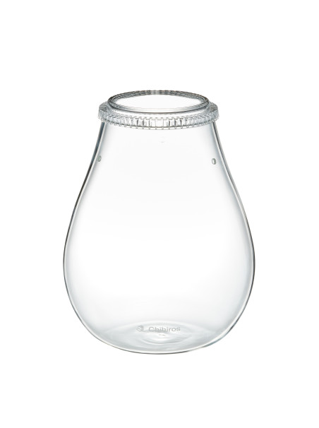 Chihiros Glass Pot DEW Shaped – Recipiente de cristal para Wabi-Kusa y plantas emergidas