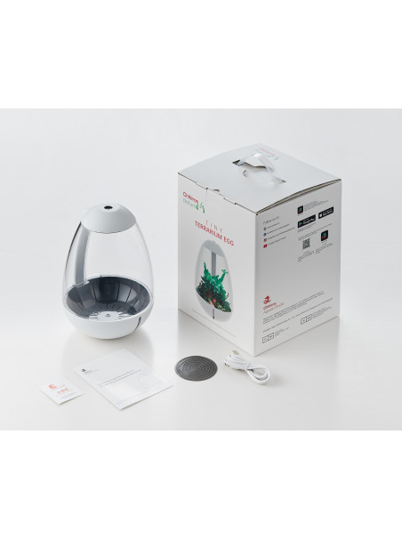 Chihiros Tiny Terrarium Egg – Mini terrario con iluminación LED integrada