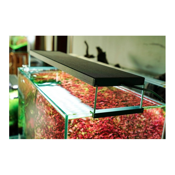 Chihiros WRGB II - 45cm - 10 Aniversario