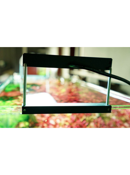 Chihiros WRGB II - 45cm - 10 Aniversario