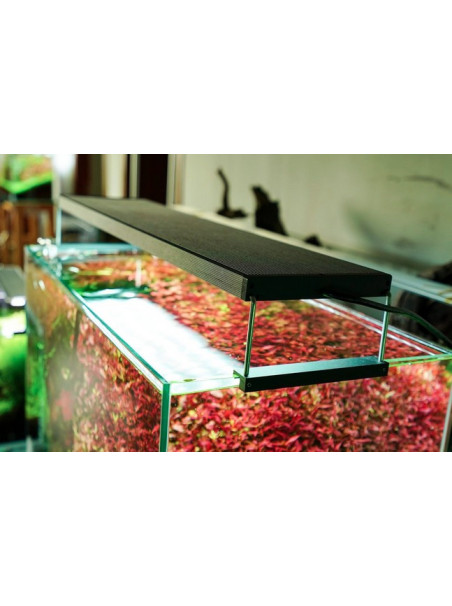 Chihiros WRGB II - 120cm - 10 Aniversario