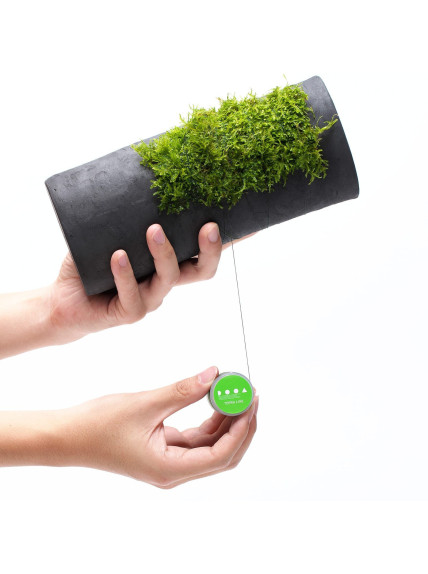 DOOA Terra Line | Hilo resistente para fijar plantas epífitas y musgos 2