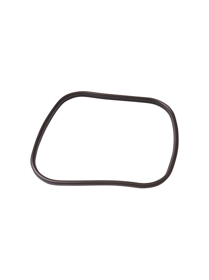 Junta de Repuesto para OASE BioMaster