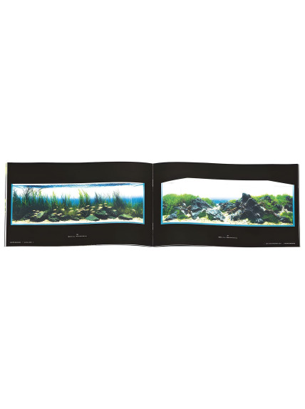 Libro ADA SUIKEI Creators Vol. 1 2