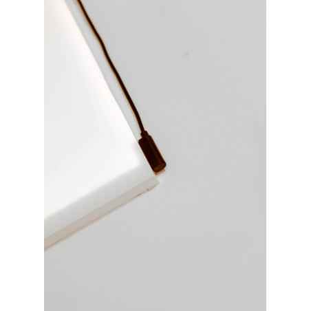 Pantalla Retroiluminada RGB PezVerde 45 x 30