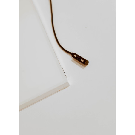 Pantalla Retroiluminada RGB PezVerde 100 x 45