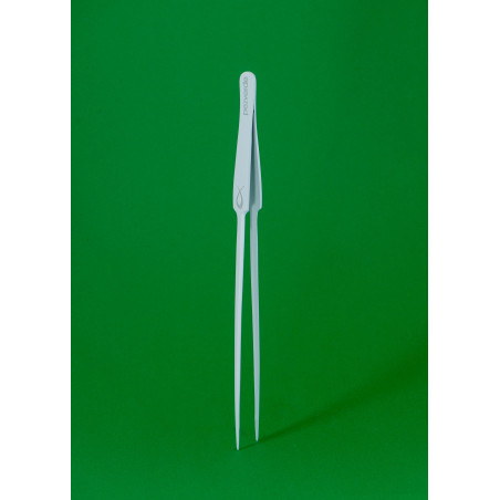 Pinzas Rectas Blancas PezVerde 25cm. Acero Inox