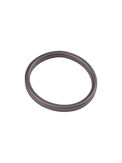 Recambio Junta Prefiltro OASE BioMaster