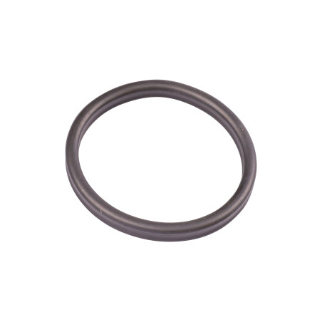 Recambio Junta Prefiltro OASE BioMaster