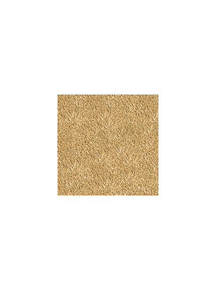 SERA - Comida BettaGran Nature 50mL 2