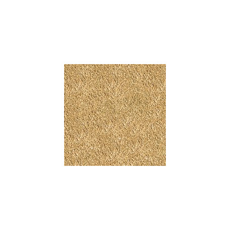 SERA - Comida BettaGran Nature 50mL