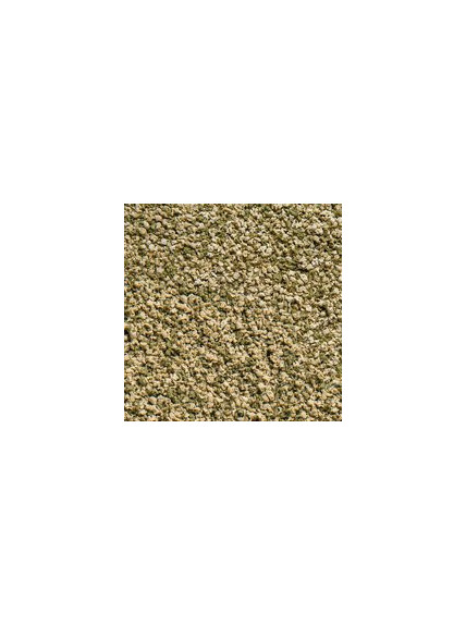 SERA - Comida VipaGran Granules 100mL 2