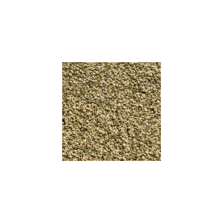 SERA - Comida VipaGran Granules 100mL