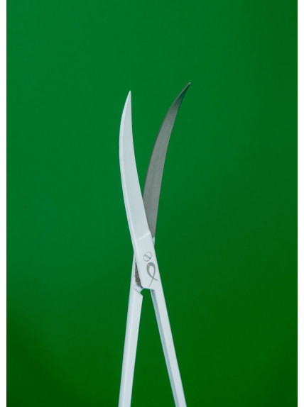 Tijeras Curvas Blancas PezVerde 25cm Acero Inox 2