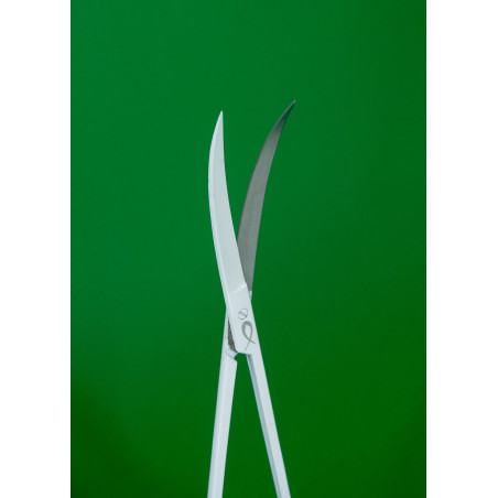 Tijeras Curvas Blancas PezVerde 25cm Acero Inox