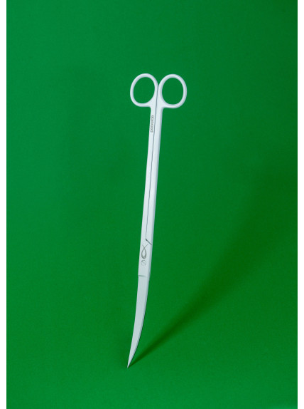 Tijeras Curvas Blancas PezVerde 25cm Acero Inox