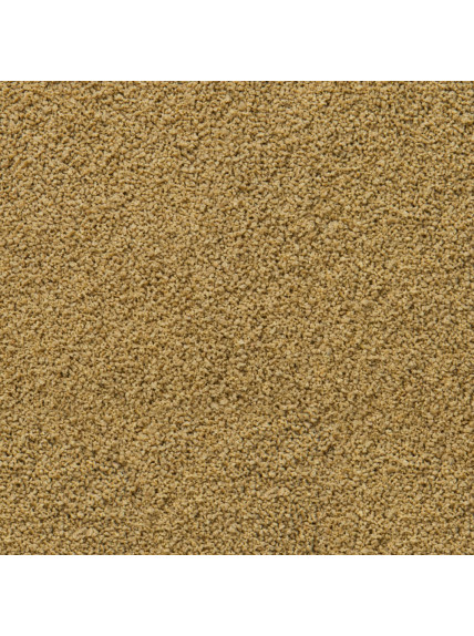 SERA - Comida Immune Probiotic Granules XS 250 mL (120 g) 2