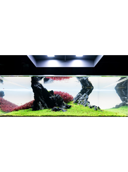 Pantalla Retroiluminada BLANCA PezVerde 120 x 50