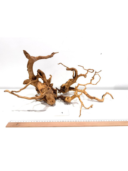 Raiz Roja Seleccionada - Pack número 1