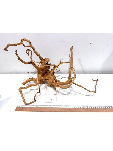 Raiz Roja Seleccionada - Pack número 3