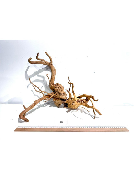 Raiz Roja Seleccionada - Pack número 5