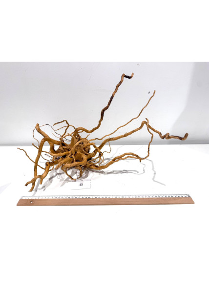 Raiz Roja Seleccionada - Pieza número 2