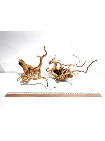 Raiz Roja Seleccionada - Pack número 6